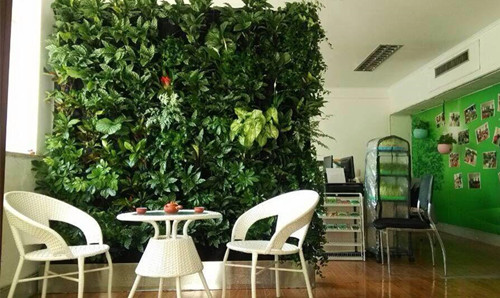上海時尚辦公家具廠家|植物墻空間